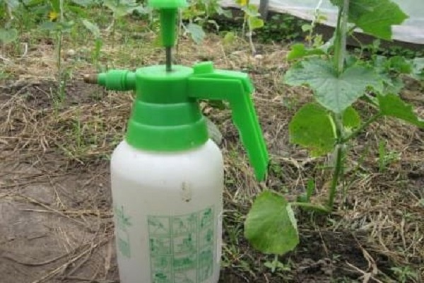 la plupart des insecticides