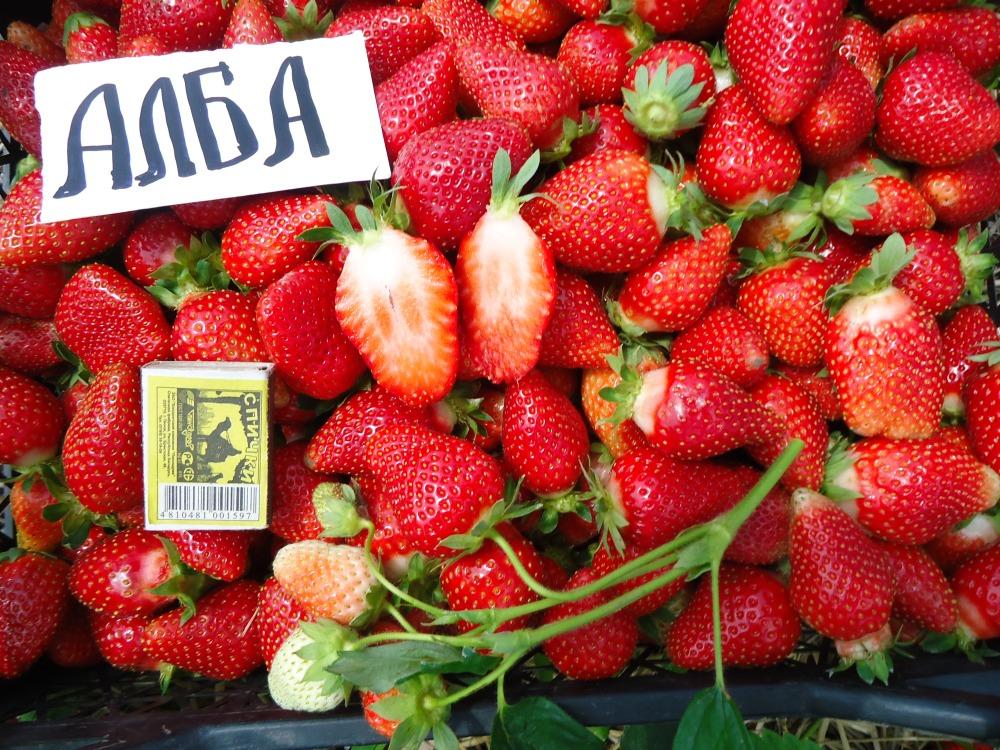 strawberry alba