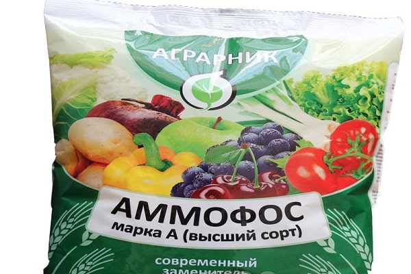 Ammophos fertilizers