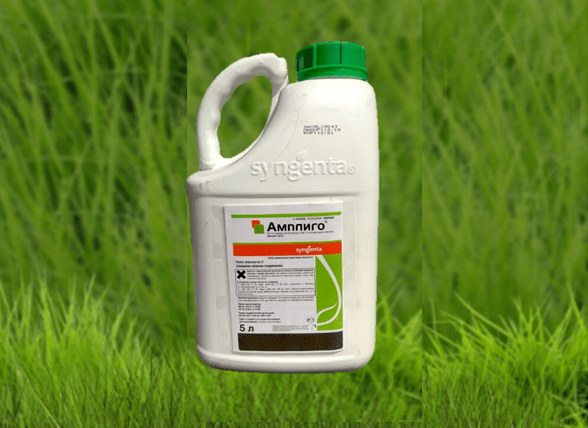 ampligo insecticide