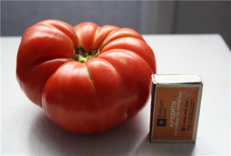 tomate et allumettes 