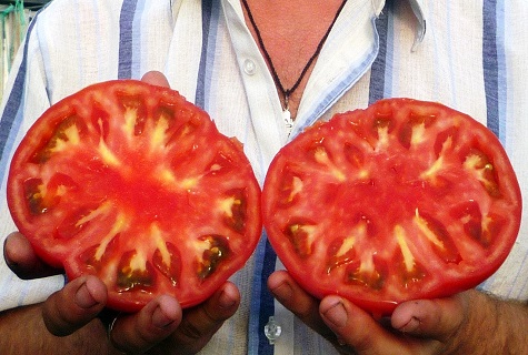 nakrájené rajče 