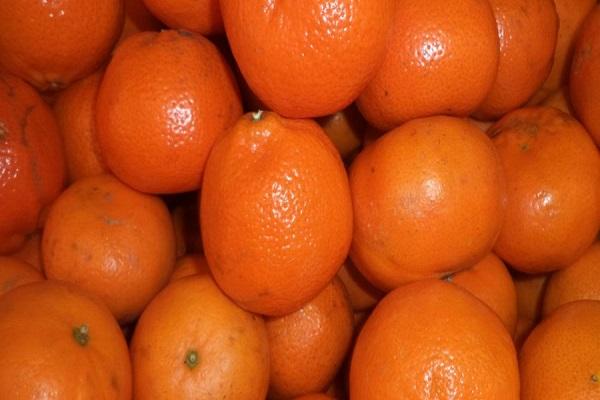 beaucoup d'oranges 