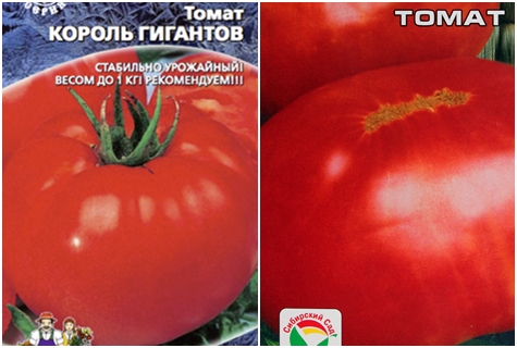 Graines de tomates Roi des Géants