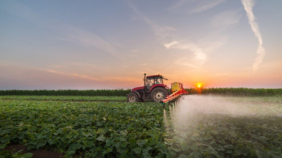 spraying the field