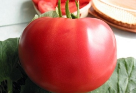 colheita de tomate em gel rosa