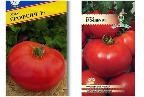 graines de tomates Erofeyich F1