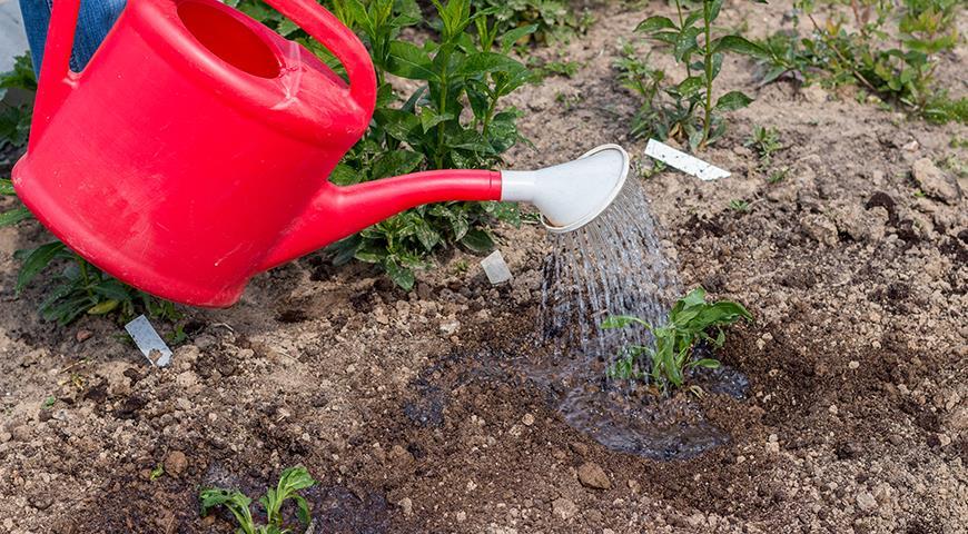 continuous action herbicides