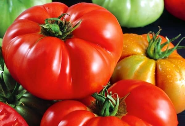 appearance of the Red buffalo tomato