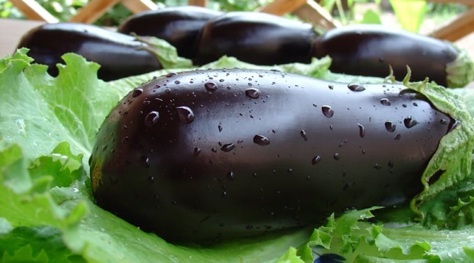 eggplants and greens