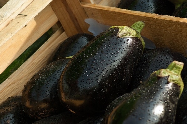 droge aubergines