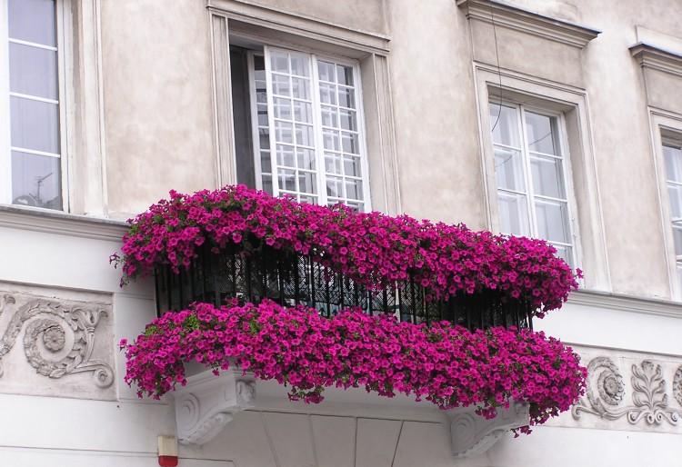 flores en el balcon