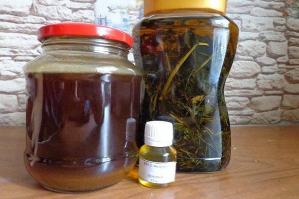 se preparan infusiones 