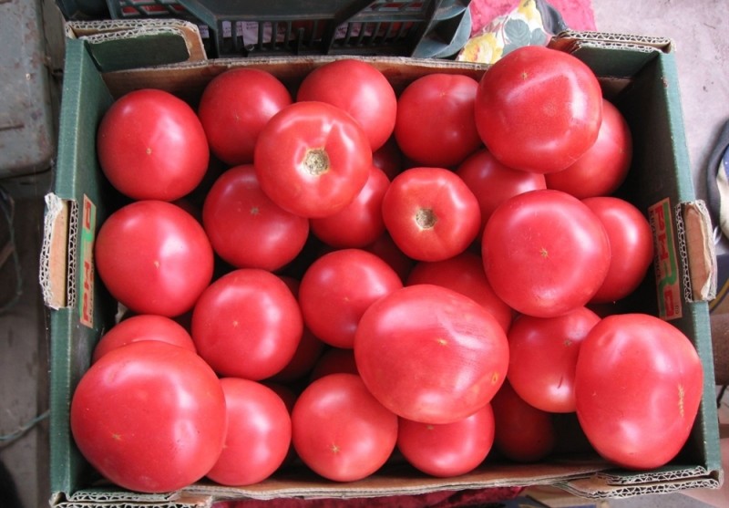 pink kakaibang mga kamatis sa isang kahon