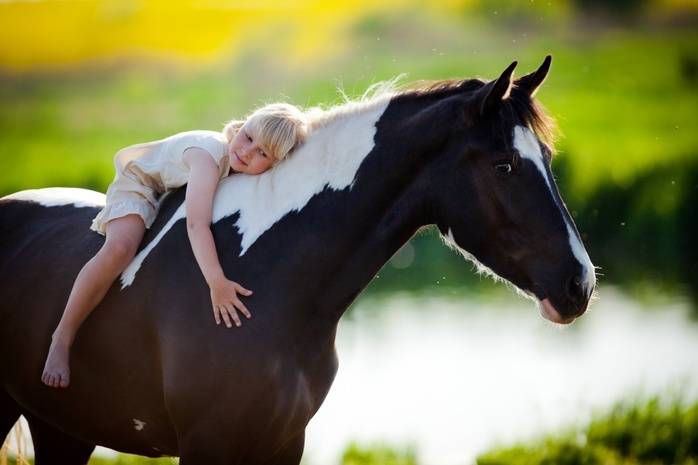 tratamento de cavalo