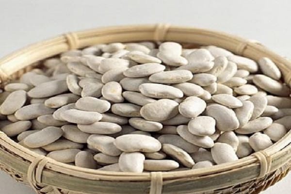 Description of white bean varieties, beneficial and harmful properties, cultivation