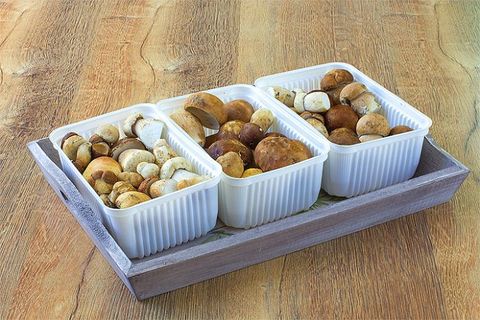 How to properly freeze porcini mushrooms for the winter