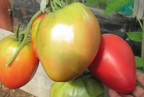 les mains sur une tomate 