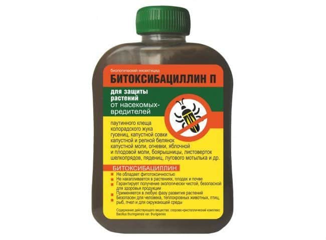 droga bitoxibacilina 