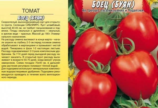 semillas de tomate luchador