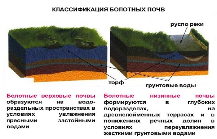 dessiner pour comprendre 