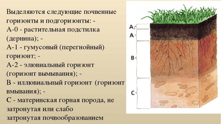 појашњење са индексима 