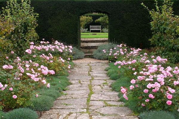 terrasse de jardin 