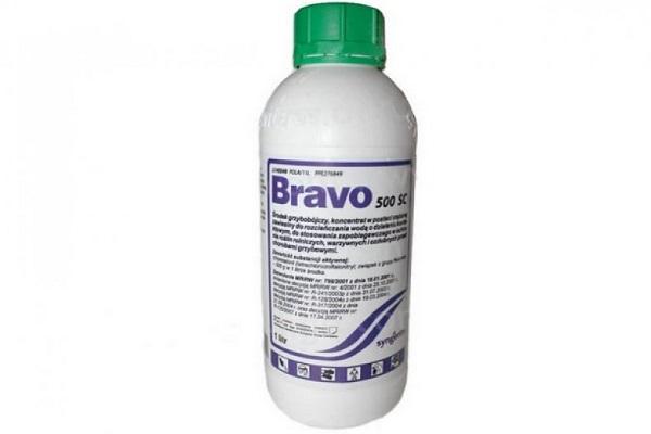 thuốc diệt nấm Bravo