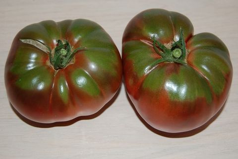 Tomaten pflanzen