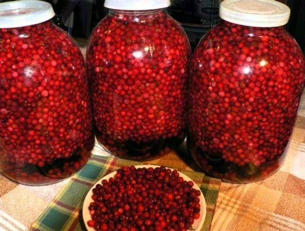 lingonberries para sa taglamig