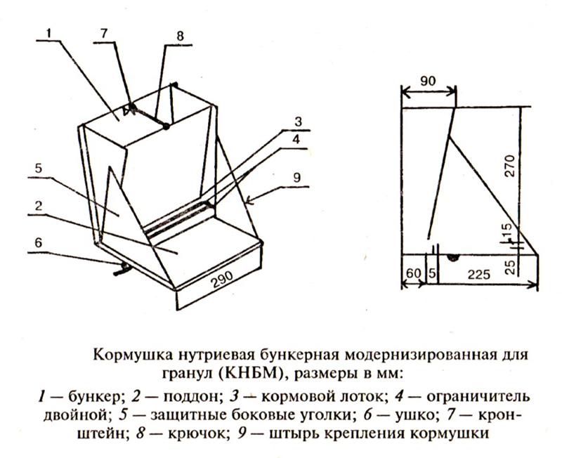 Dimenzije i crteži 10 najboljih vrsta hranilica za kuniće