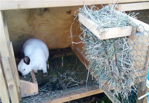 box na seno pro králíky