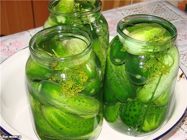 okurky s bylinkami ve sklenici