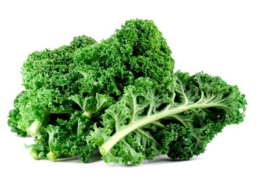 appearance of kale cabbage