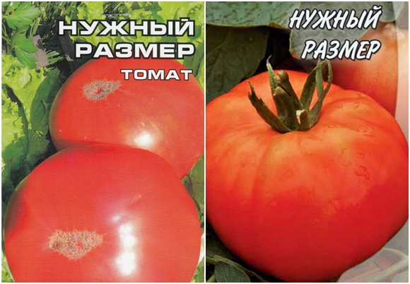 požadovaná velikost semínek rajčat