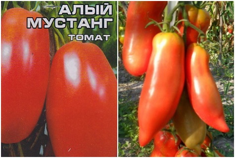 Scarlet Mustang tomato seeds