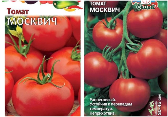Semena moskevských rajčat