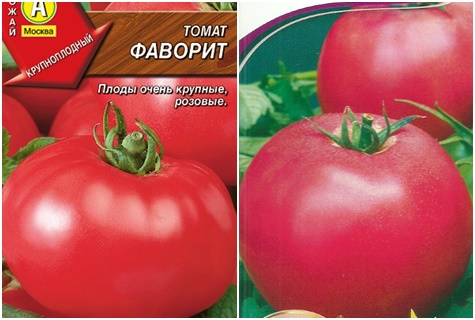 oblíbená semínka rajčat