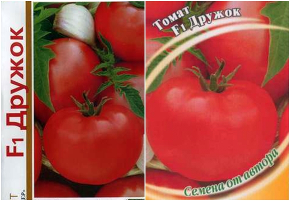 rajčata Druzhok F1