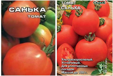 tomatenras Sanka F1