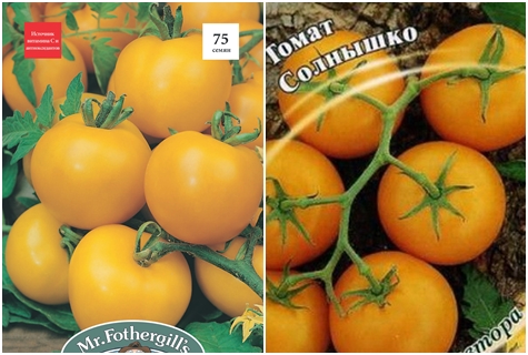 sementes de tomate ensolarado