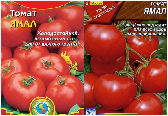 Semena rajčat Yamal