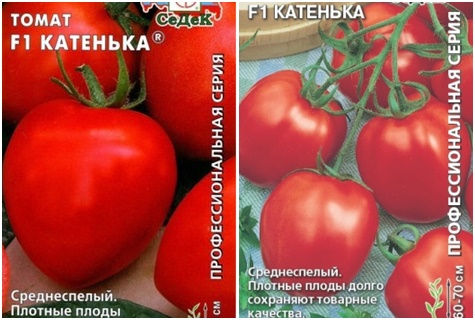 Katenka semínka rajčat