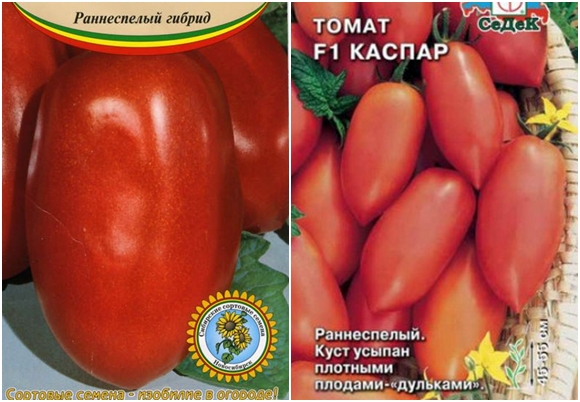 Caspar F1-Tomate