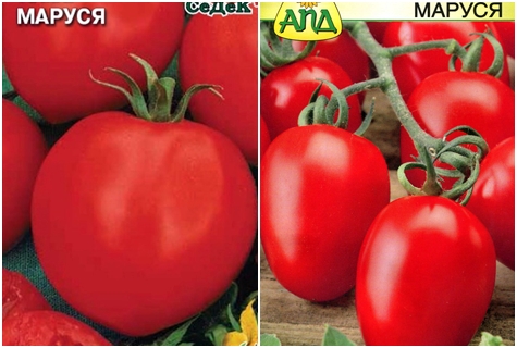 marusya tomato seeds 