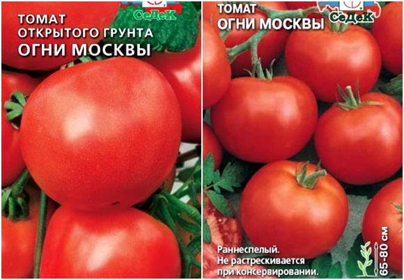 tomato lights of Moscow seeds