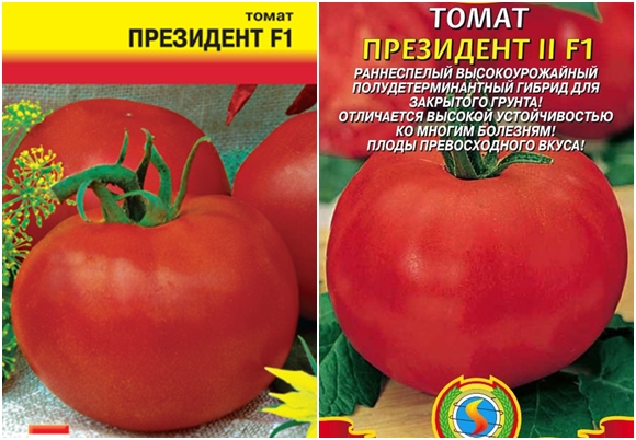 President-Tomatensamen 