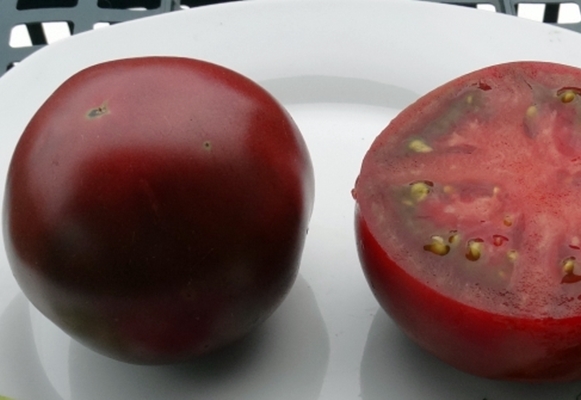 bloc de chocolat aux tomates 