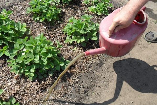 herbicide toepassen 