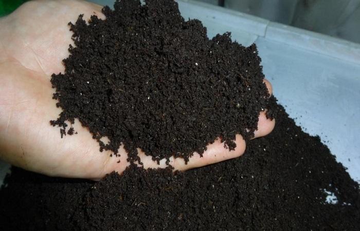 vermicompost al palmell 